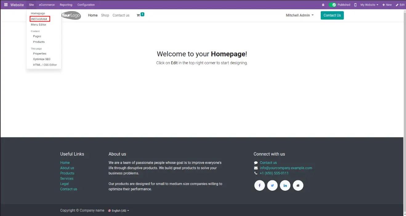 View Instagram posts on a website in Odoo, Unitsoft