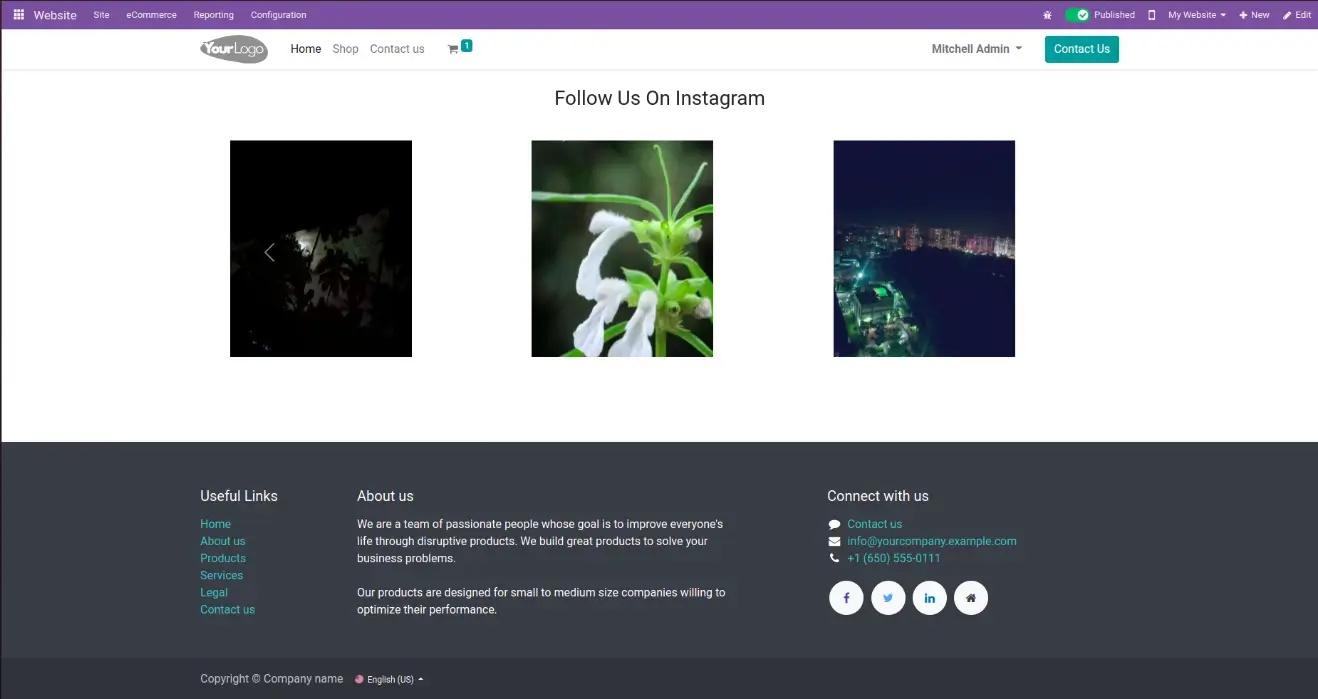 Instagram Story on the website in the Odoo system, Unitsoft