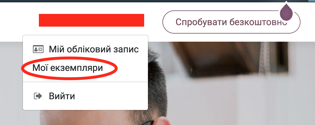 My copies in my personal window