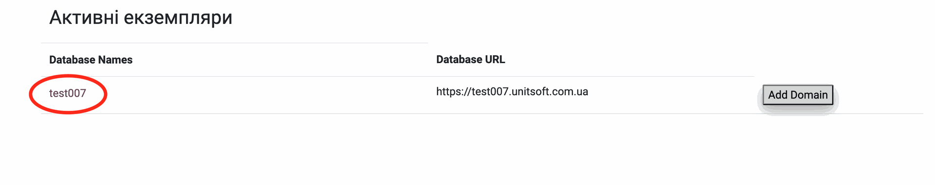 Active database name