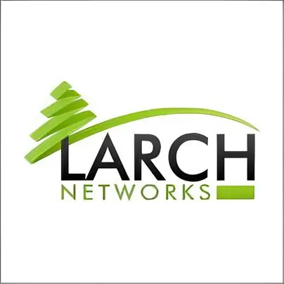 Логотип Larch Networks