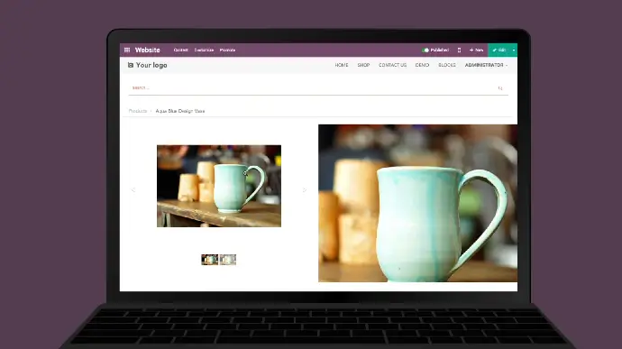 Odoo eCommerce — сторінка товару з галереєю зображень та інтернет-магазином
